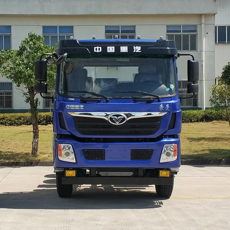 12 Wheels Diesel Engine LHD RHD 8*4/6*4 Dump Truck for Infrastructure Transportation