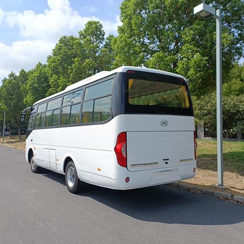31 Seater Mini Bus Coaster with Left Hand Drive Diesel Fuel and Luxury Design