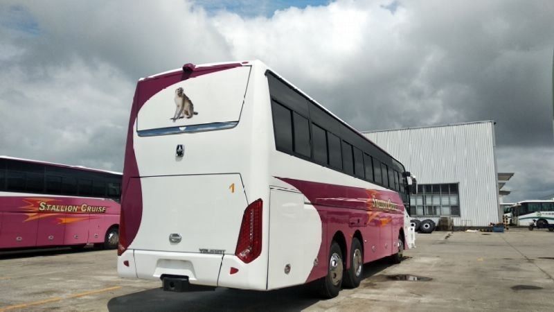 55 Seater LHD Drive Type Luxury Coaches for City Buses Best Choice