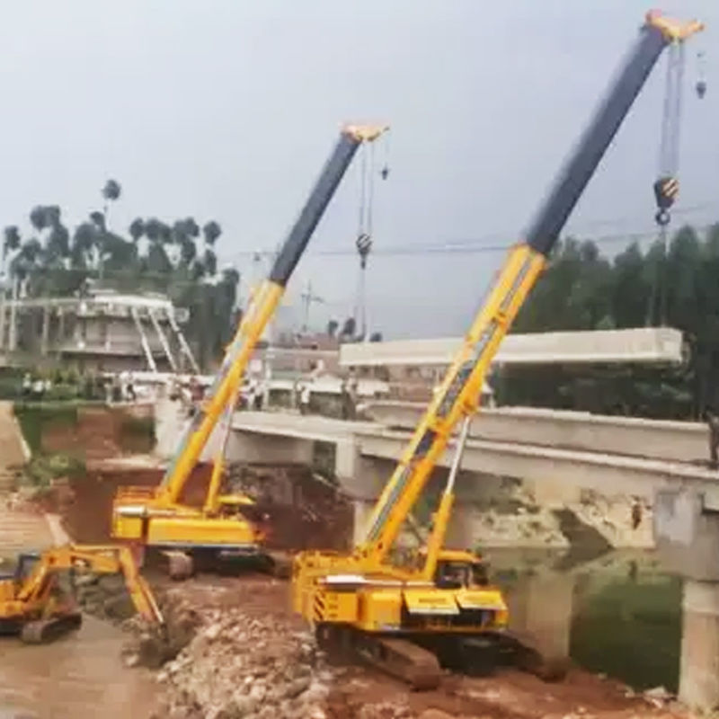 25 Ton 50 T 55 Ton 75ton Crawler Crane Lifting Machine with Other Hydraulic Pump Top